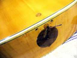 Guild X-500 1970's w-orig hs case tailpiece removed.jpg